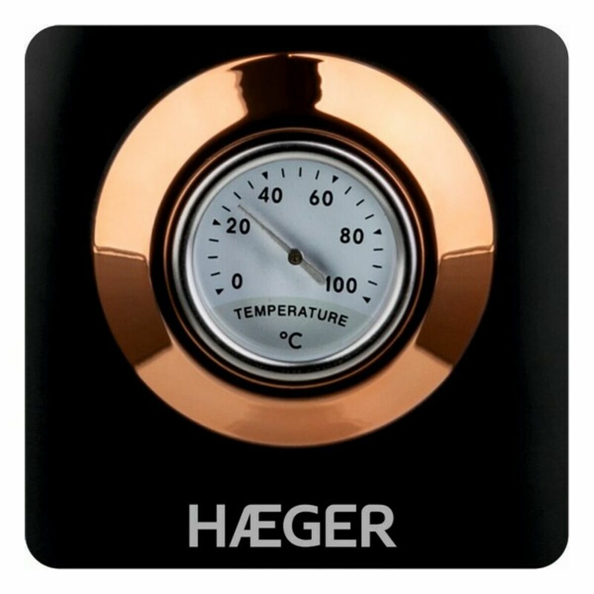 Water- en Theekoker Haeger EK-22B.024A Zwart Roestvrij staal 2200 W 1,7 L